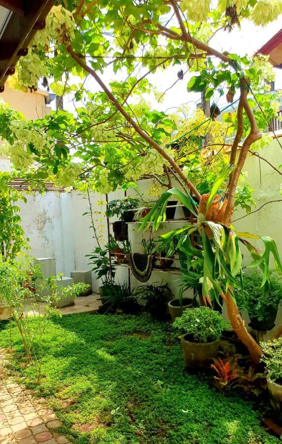 Guesthouse Kind And Love Hikkaduwa Exterior foto