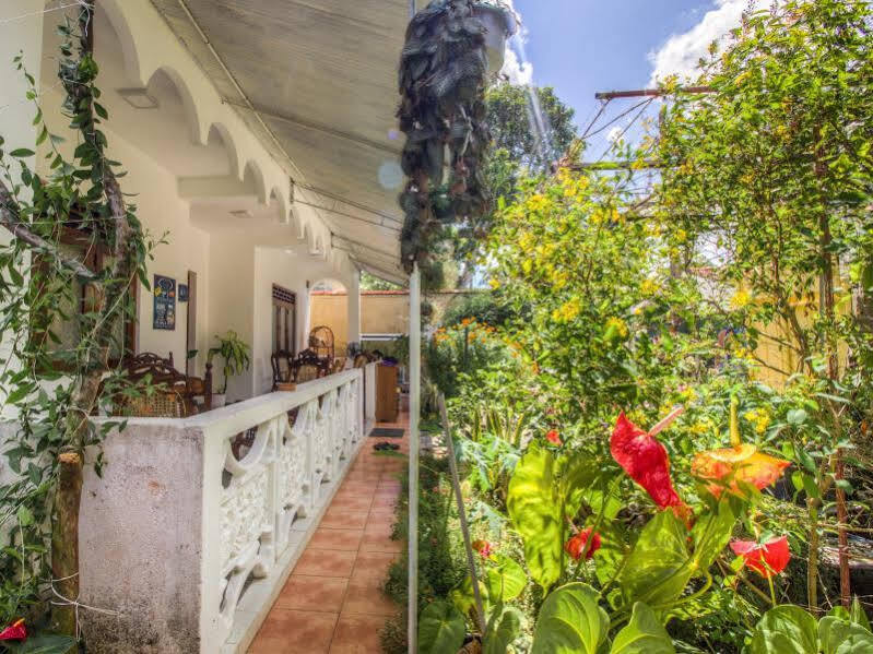 Guesthouse Kind And Love Hikkaduwa Exterior foto